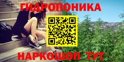 СК Будённовск