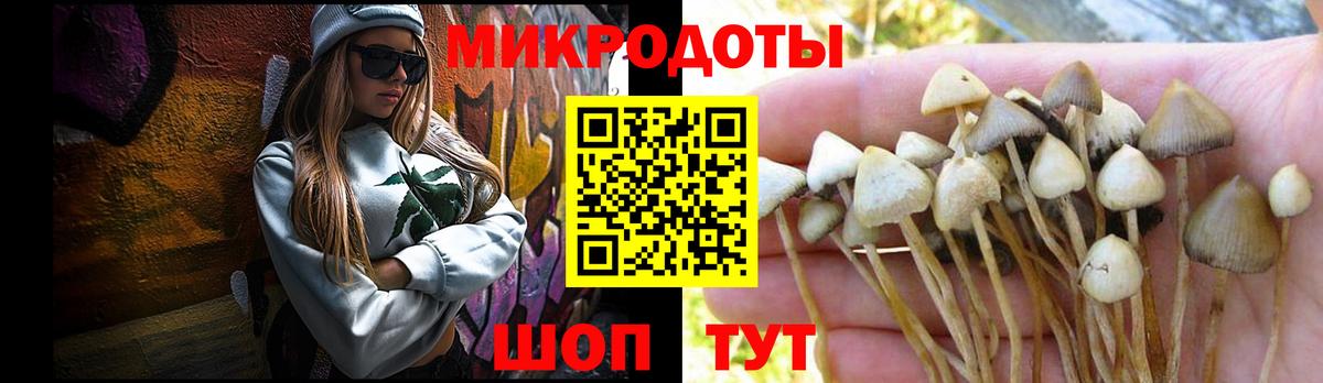 Галлюциногенные грибы мицелий  Вход с VPN  Саянск  Псилоцибиновые грибы Cubensis 